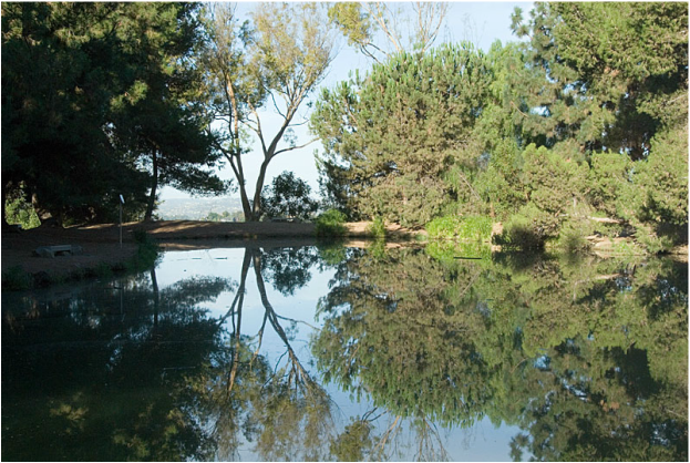 Montecito Heights Debs Park Pond