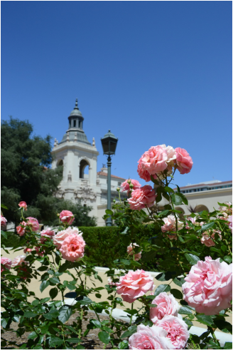 Pasadena City of Roses